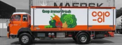 ACE 882384 Berna D290B F4x2 Frigo Coop | LKW-Modell 1:87