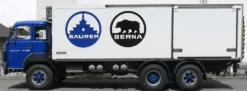 ACE 882385 Saurer D290B F6x2 Frigo Clubfahrzeug | LKW-Modell 1:87
