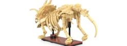 CaDA C59013W Dinosaurier Fossil Triceratops Bricks | Dino Baukasten