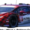 Carrera 32123 Digital 132 Lamborghini Huracan GT3 Evo2 | Pfaff Motorsports No. 9 | Slot Car 1:32