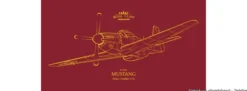 Eduard R0021 North American P-51D Mustang Dual Combo | 2 Stück | Flugzeug Bausätze 1:72