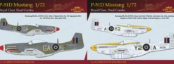 Eduard R0021 North American P-51D Mustang Dual Combo | 2 Stück | Flugzeug Bausätze 1:72