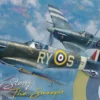 Eduard 2154 Supermarine Spitfire Story The Sweeps Dual Combo | 2 Stück | Flugzeug Bausätze 1:72