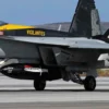 HASEGAWA 02450 FA-18E Super Hornet VFA 151 Vigilantes | Flugzeug Bausatz 1:72