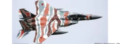 HASEGAWA 2415 F-15DJ Eagle Aggressor Minokasago | Flugzeug Bausatz 1:72