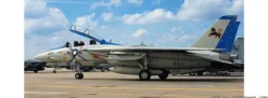 HASEGAWA 602406 Grumman F-14D Tomcat VF-213 Blacklions last cruise | Flugzeug Bausatz 1:72