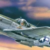 ICM 48121 Mustang P-51C Amerikanischer Jäger | Flugzeug Bausatz 1:48