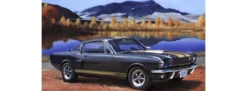 Revell 67242 Model-Set Shelby Mustang GT 350 H | Auto Bausatz 1:24