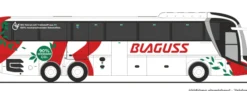 RIETZE 74868 MAN Lions Coach L Blaguss | Busmodell 1:87