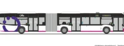 RIETZE 73576 MB Citaro G 15 Öffis Nahverkehr Hameln-Pyrmont | Busmodell 1:87