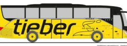 RIETZE 77941 Setra S 515 HD Tieber Judenburg AT | Busmodell 1:87