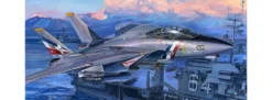 TRUMPETER 03203 F-14D Super Tomcat | Flugzeug Bausatz 1:32
